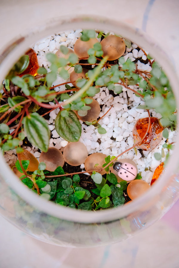 KIDS Tiny Terrarium Worlds Workshop