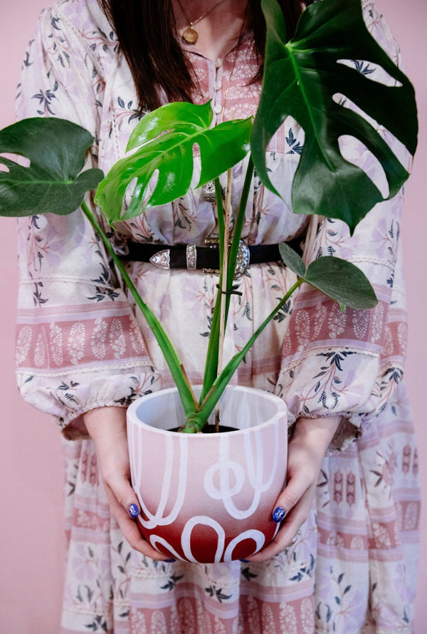 Plants, Pots & Bubbles - Home Studio Experience