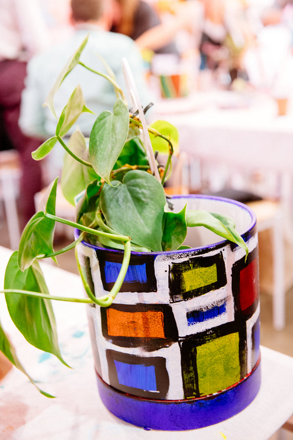 Plants, Pots & Bubbles - Home Studio Experience