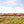Paint & Pick at Charleston Farm X Makery Co Collab